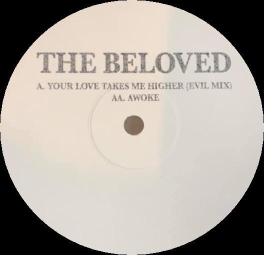 ViNYL RECORDINGS - The Beloved