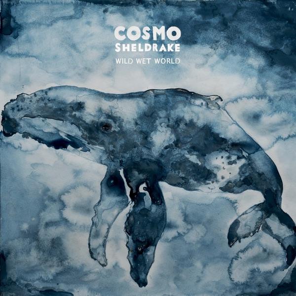 Wild Wet World - Cosmo Sheldrake