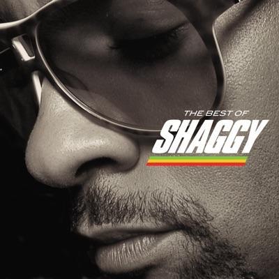  - Shaggy