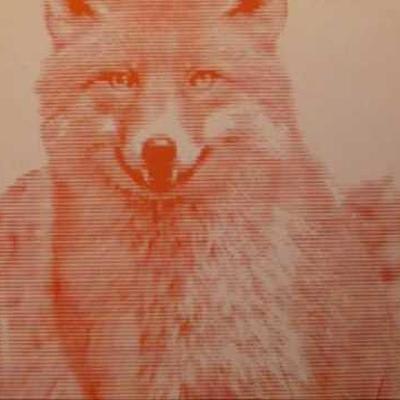  - The Fox