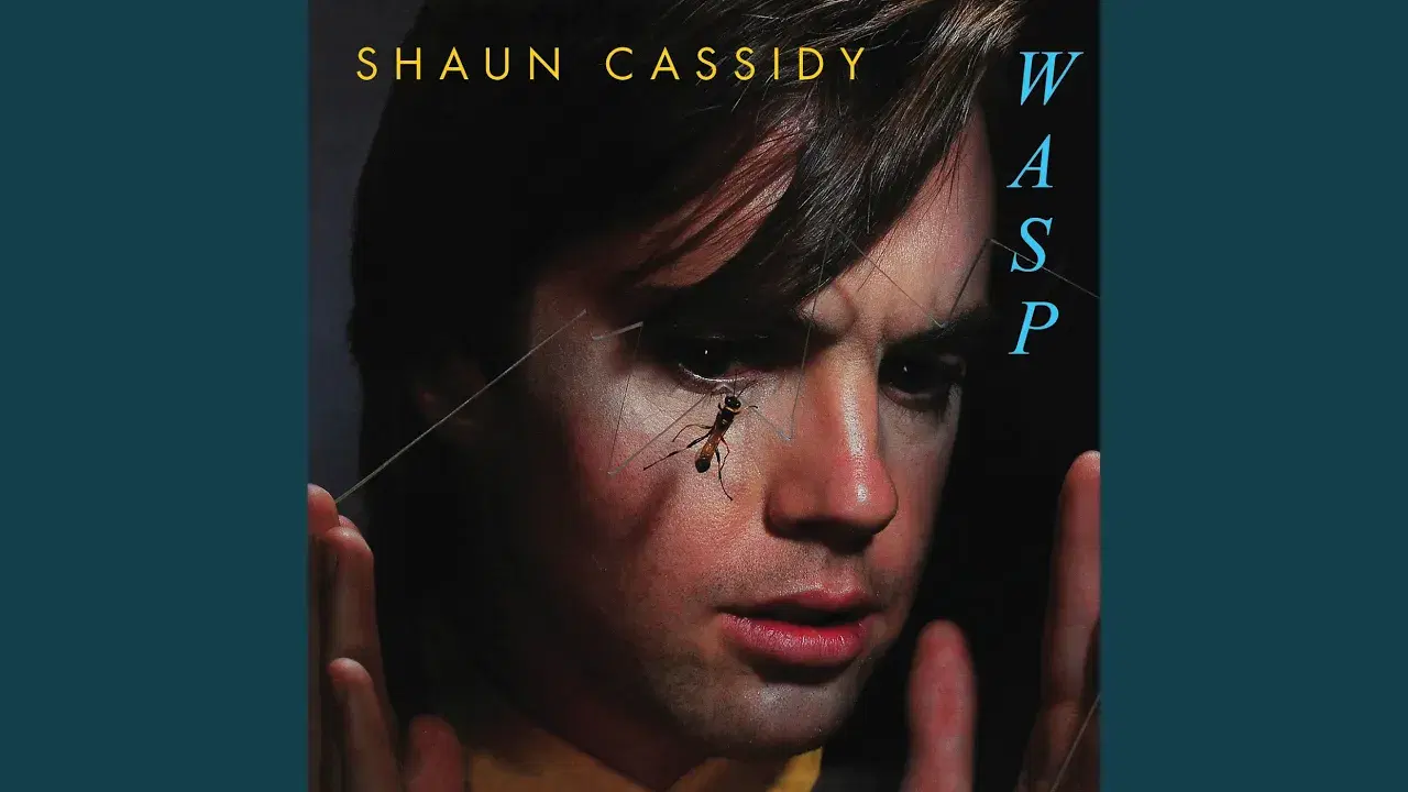 Wasp - Shaun Cassidy