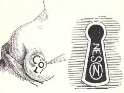 New Land - George Garside