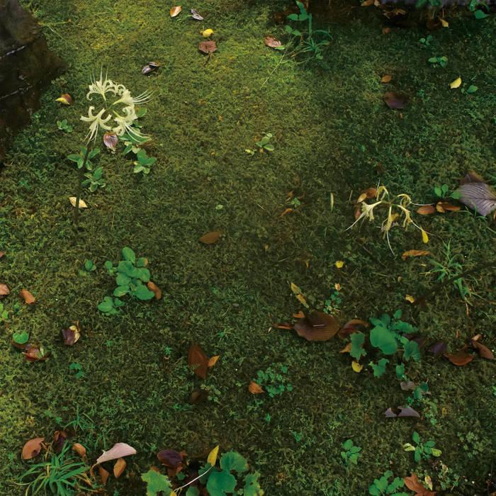 Summer Chronicles - David Cordero & Rhucle