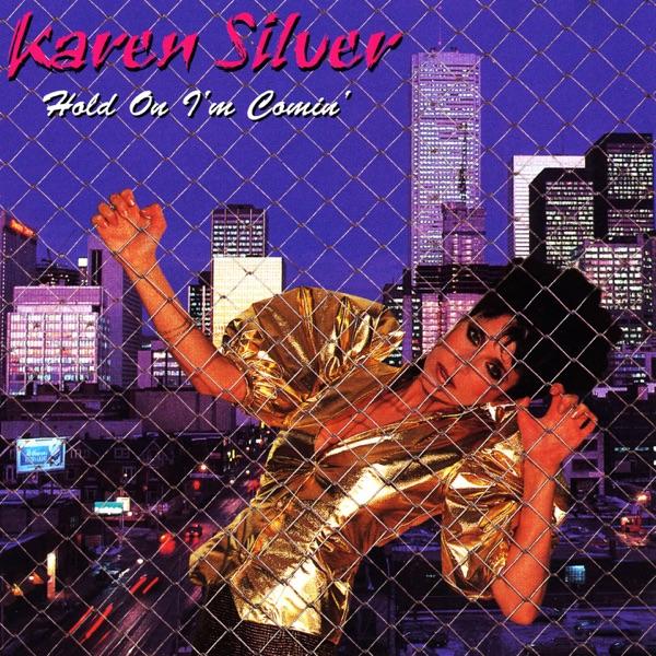 Hold On I'm Comin' - Karen Silver