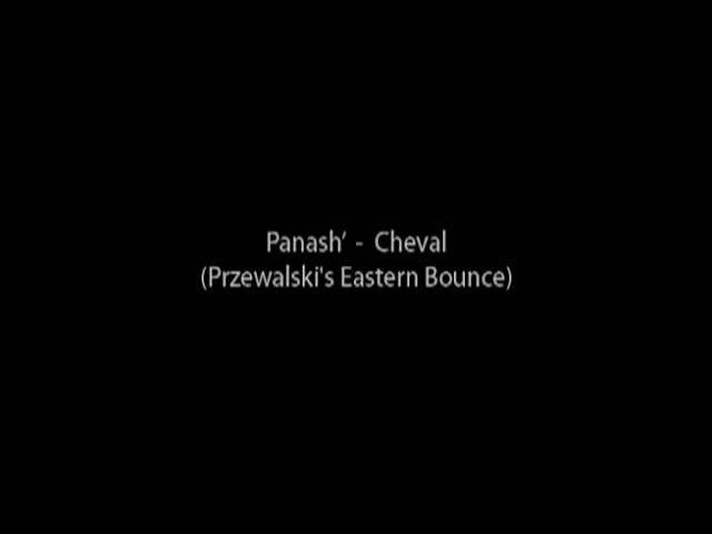 Confiote de Bits / A Remix Collection - Panash'