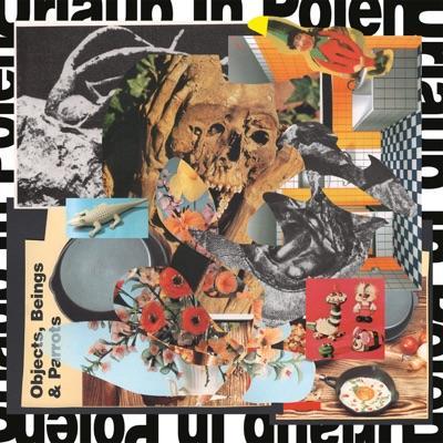 Objects, Beings & Parrots - Urlaub in Polen