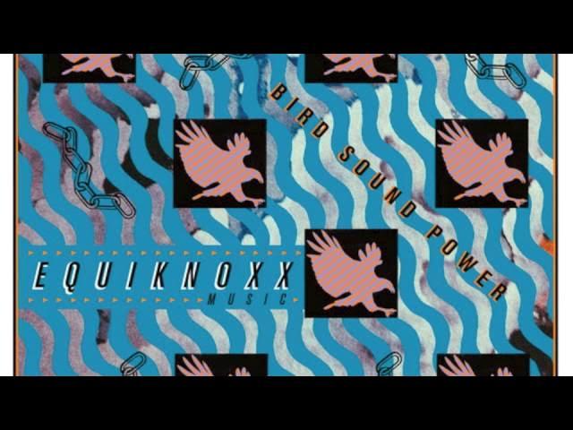  - Equinoxx