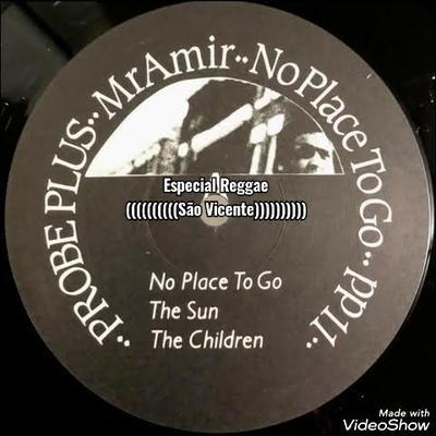 No Place To Go - Mr Amir