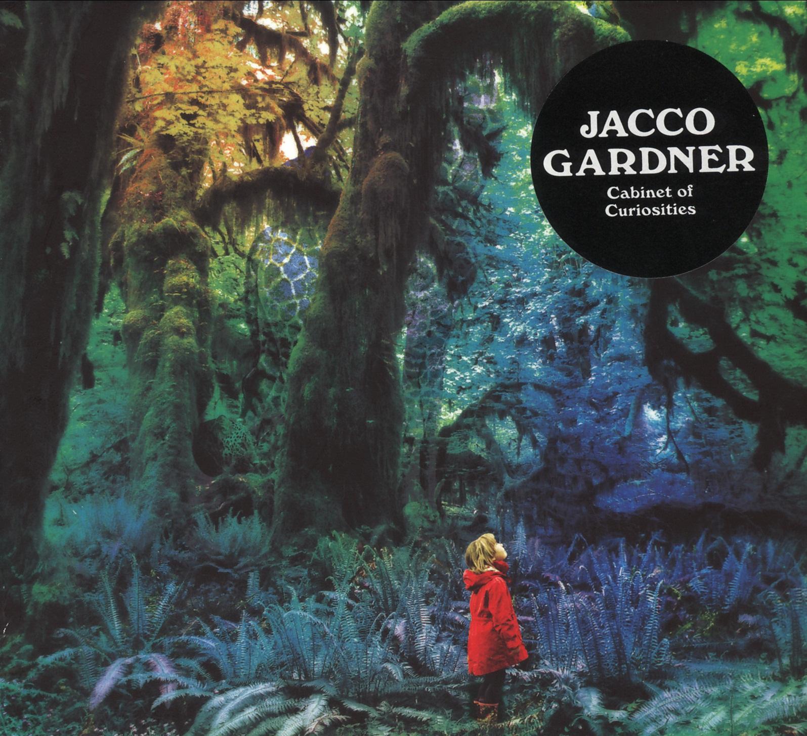 Cabinet Of Curiosities - Jacco Gardner