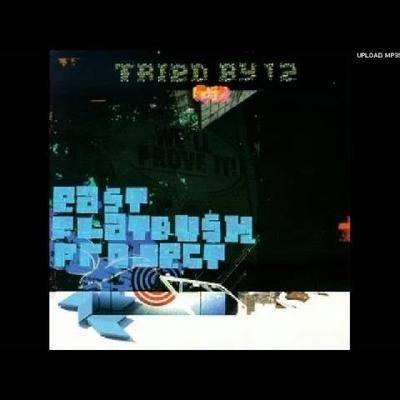Tried By 12 (Remixes) - East Flatbush Project