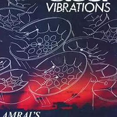  - Amral's Trinidad Cavaliers Steel Orchestra 