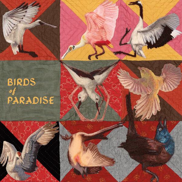 Birds of Paradise - Thomas Dollbaum