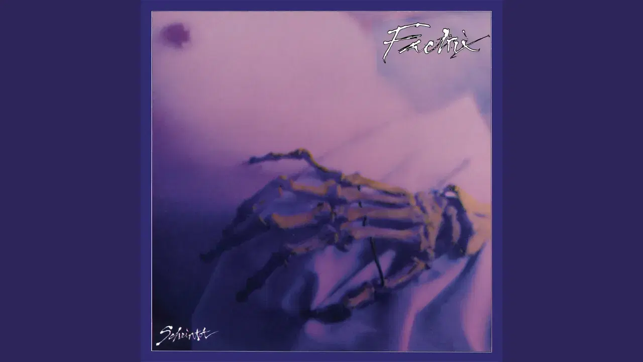  - Factrix