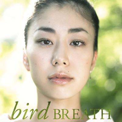  - bird