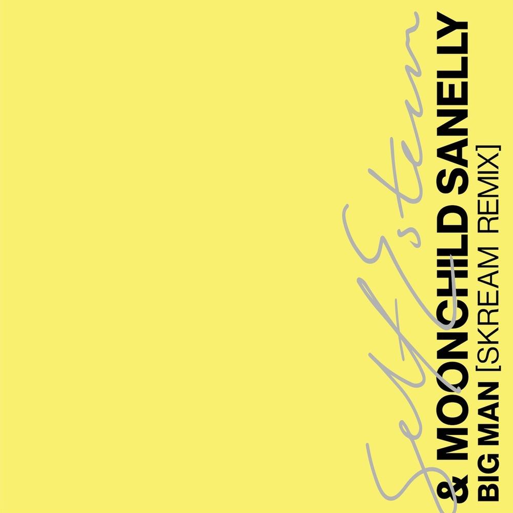 Self Esteem & Moonchild Sanelly 'Big Man' (Skream Remix) [Polydor] - Self Esteem & Moonchild Sanelly