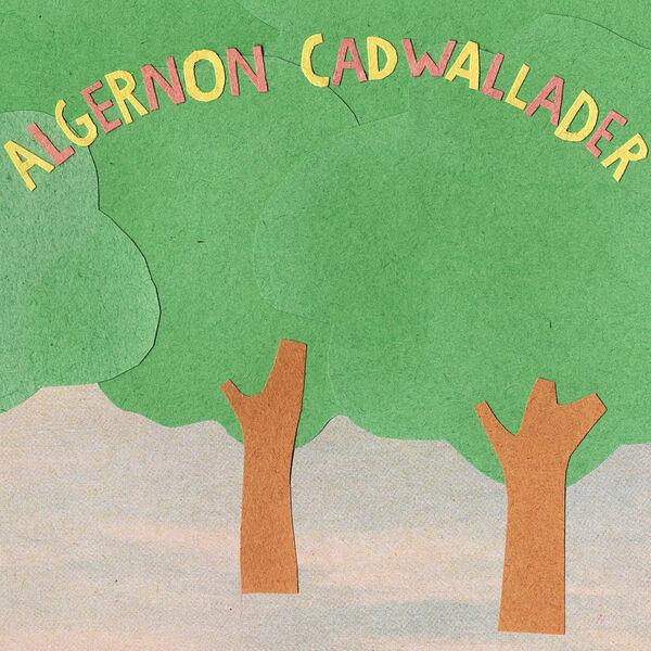 Some Kind of Cadwallader - Algernon Cadwallader