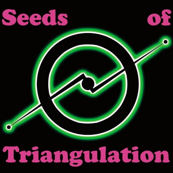 All This Time - Seeds Of Triangulation