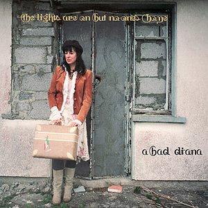 The Lights Are On But No-One's Home - Diana Rogerson