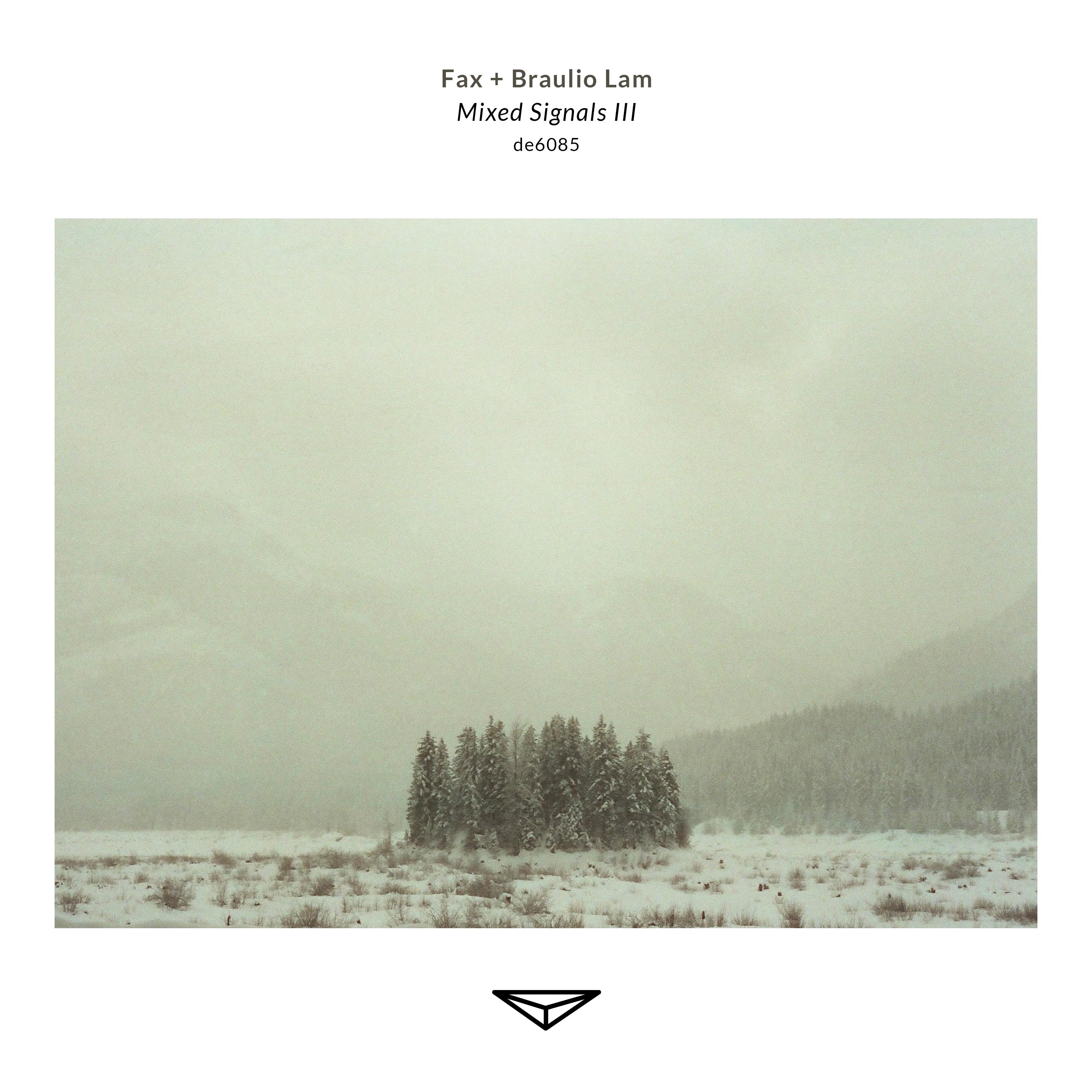 Mixed Signals III - Fax + Braulio Lam