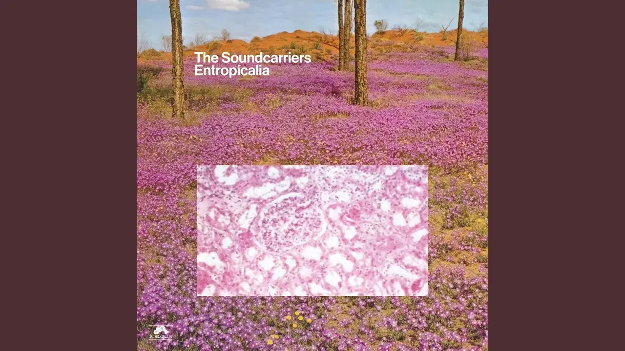 Entropicalia - The Soundcarriers