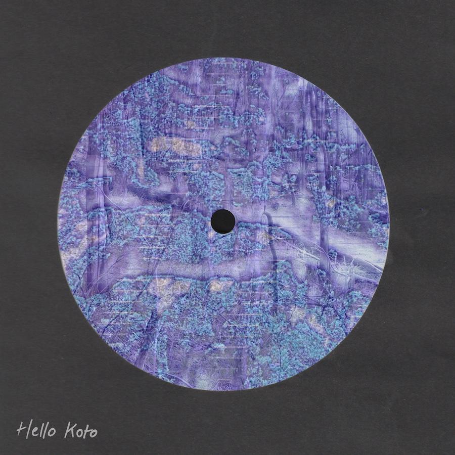 Birdsnake Begins - Birdsnake