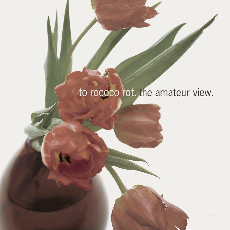 The Amateur View - To Rococo Rot