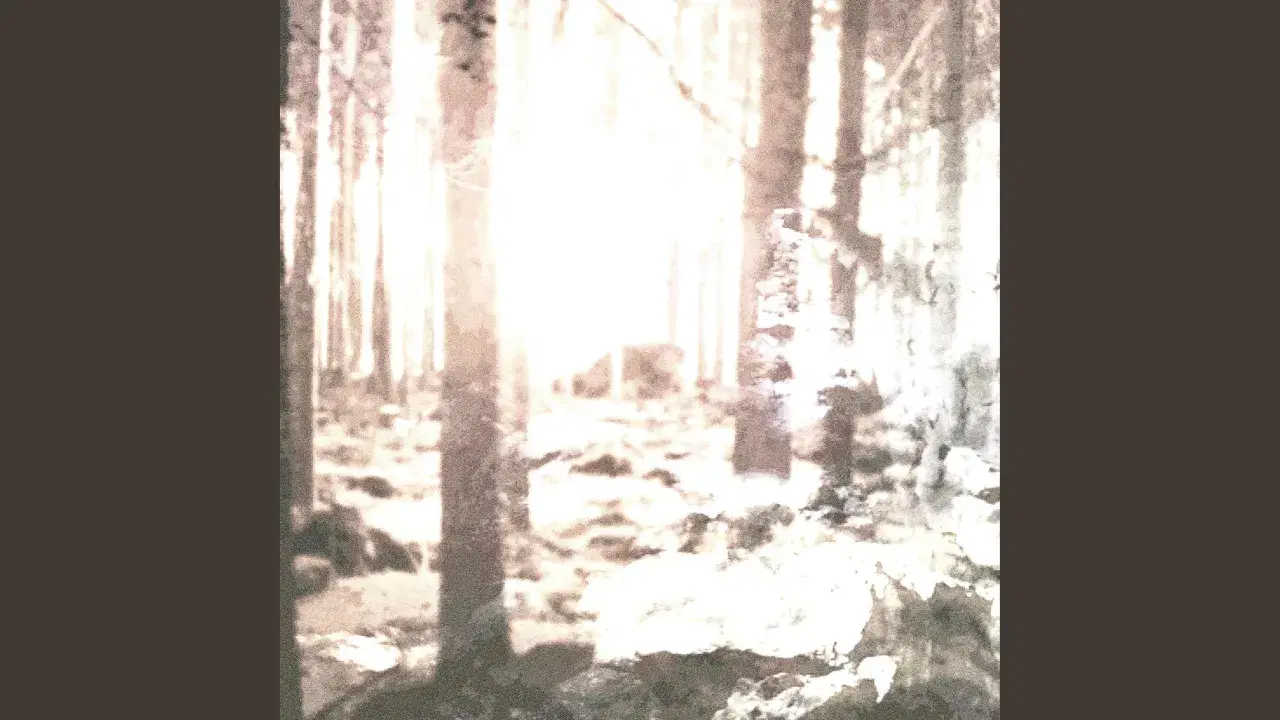  - vånda