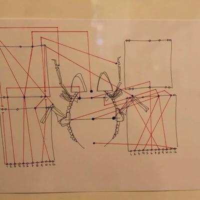 Music Box - Paul Lansky