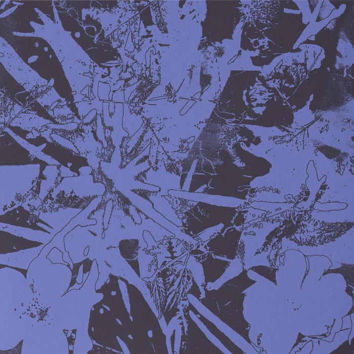 Forest Dwellers - Plants Heal