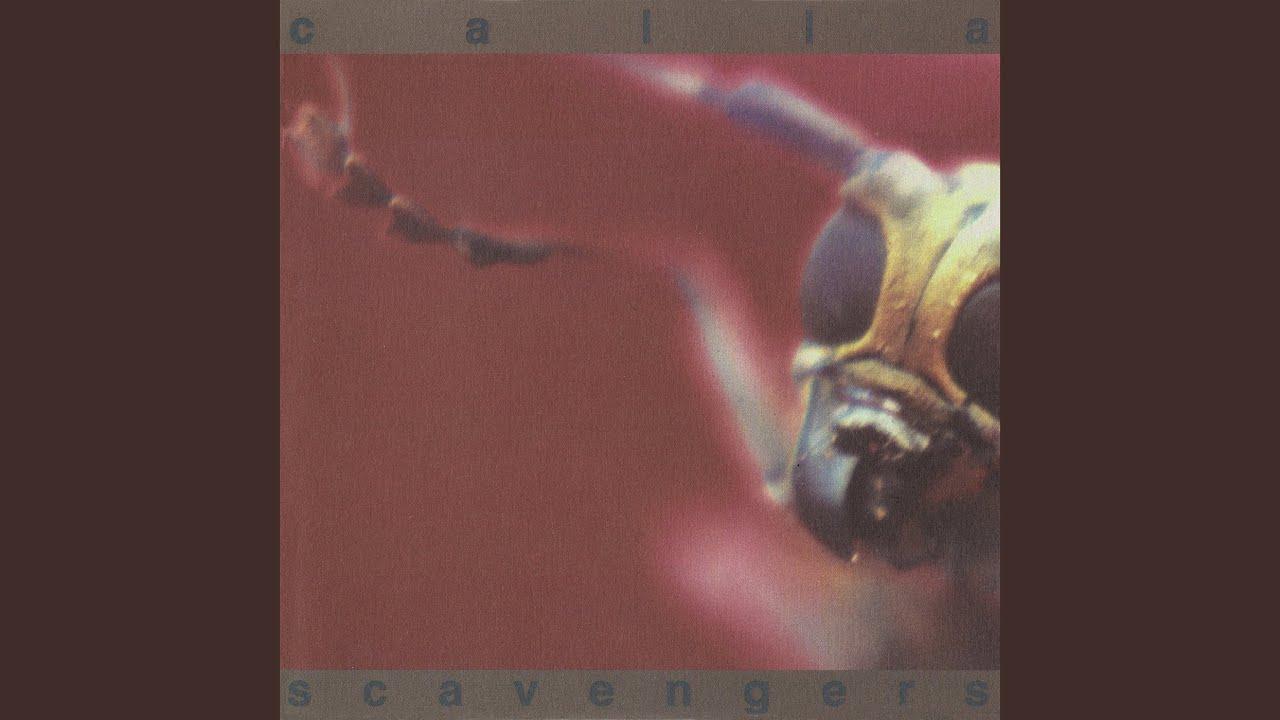 Scavengers - Calla