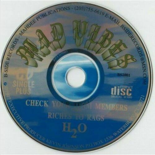 Check Your Team Members / Riches To Rags - Mad Vibes