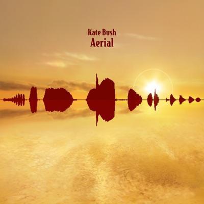 null - Kate Bush