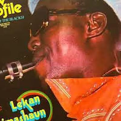  - Lekan Animashaun