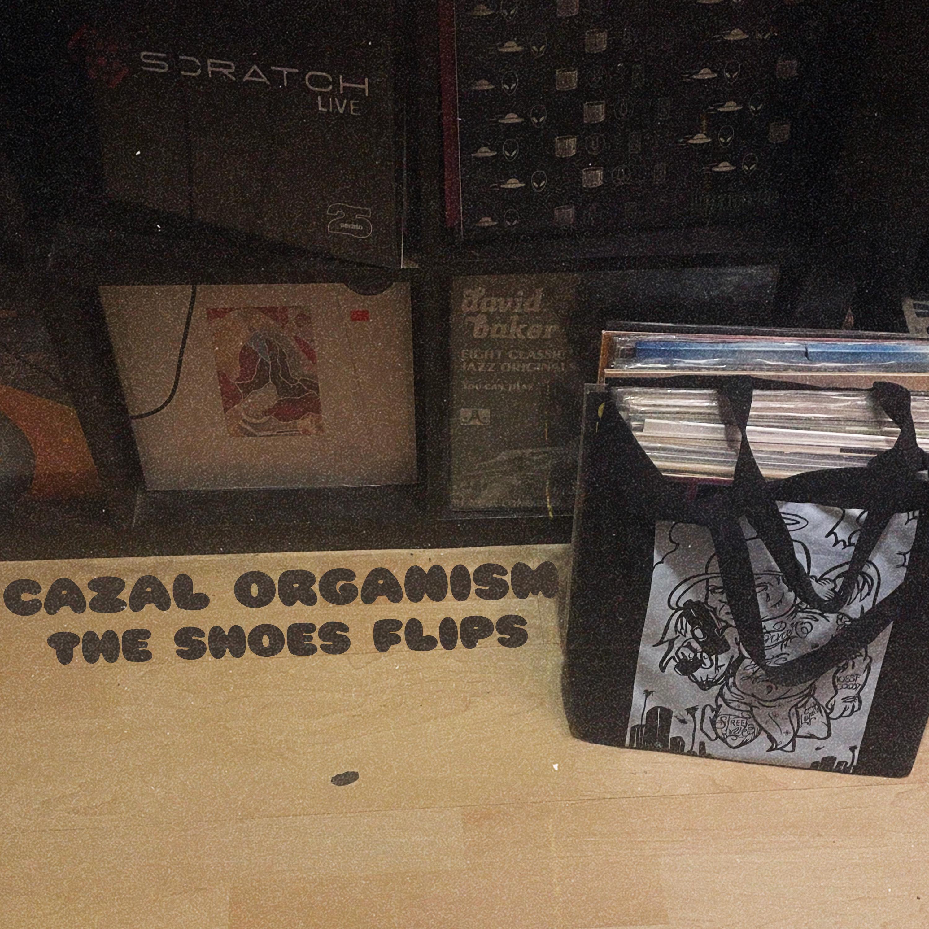 The Shoes Flips - Cazal Organism