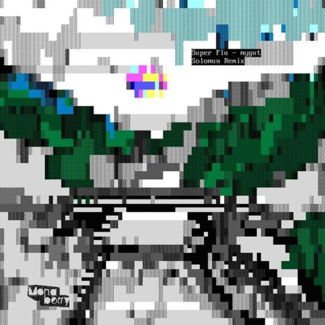 mygut (Solomun Remix) - Super Flu