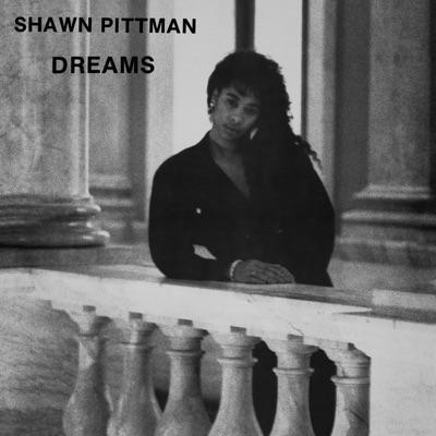Dreams - Shawn Pittman