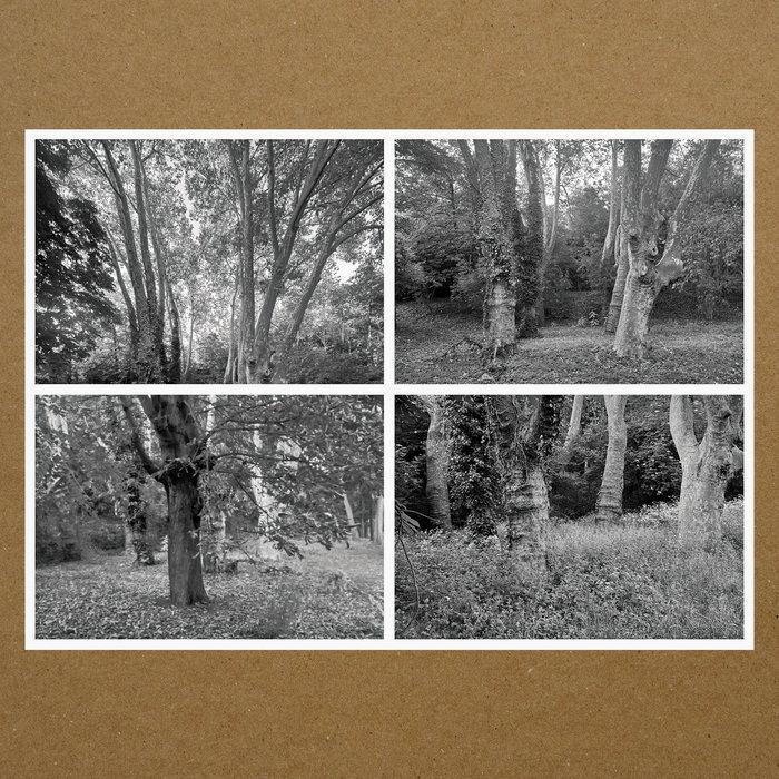 Haunted Woodland Volume Five - Karen Vogt
