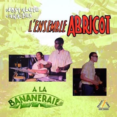  - L'ensemble abricot