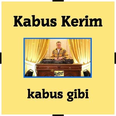 Turkish Disco Folk Music - Kabus Kerim