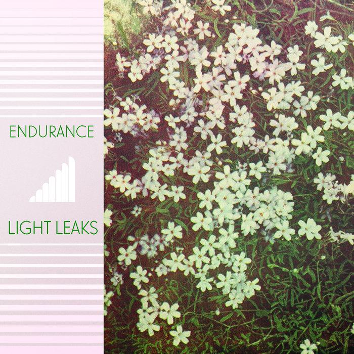 Light Leaks - Endurance