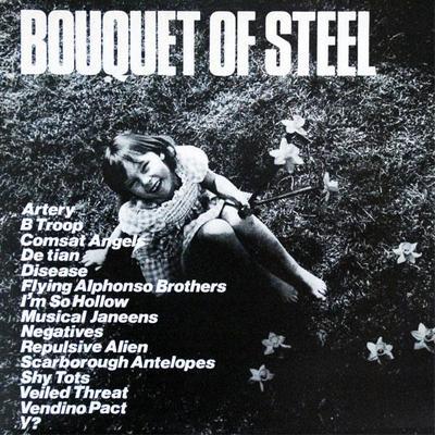 Bouquet Of Steel - B-Troop