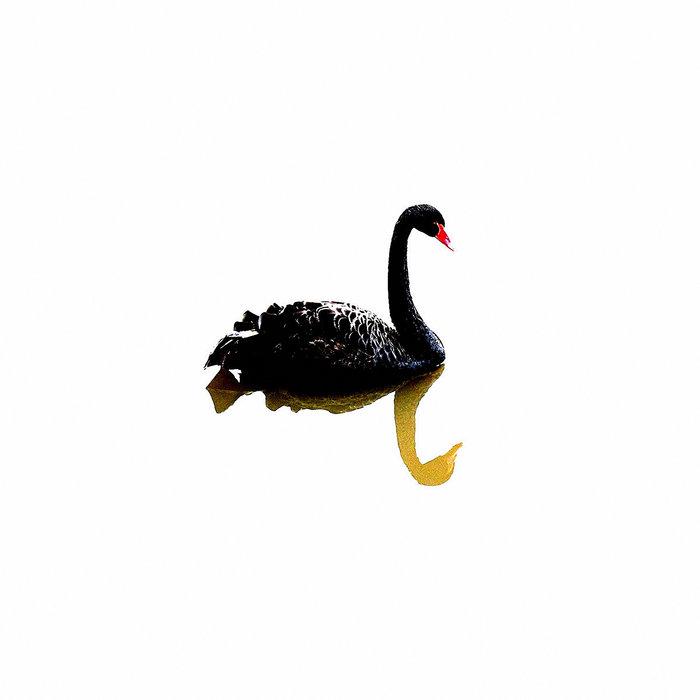 Neon Swans - Ran Slavin / Nocturnal Rainbow Recordings