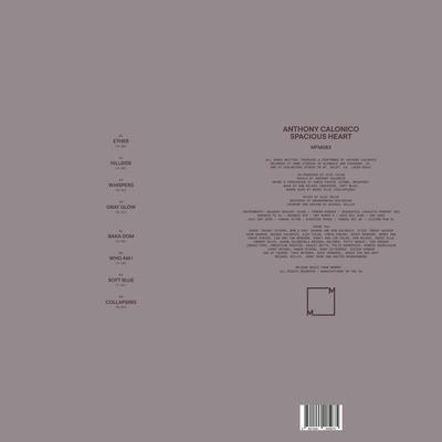 Spacious Heart - Anthony Calonico