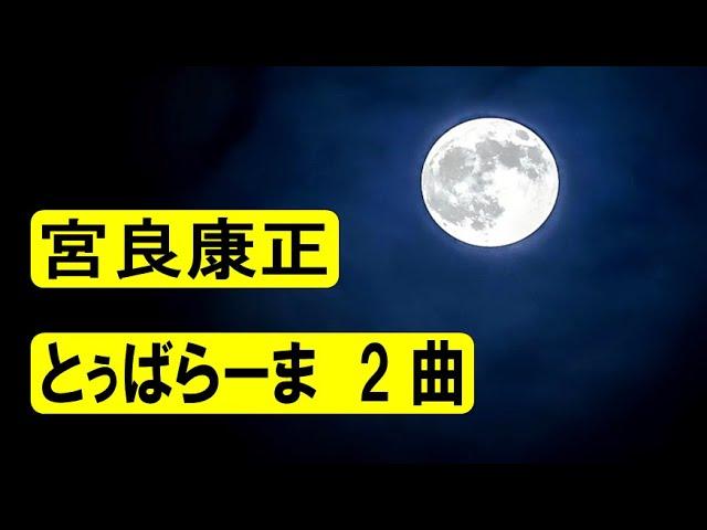  - 宮良康正