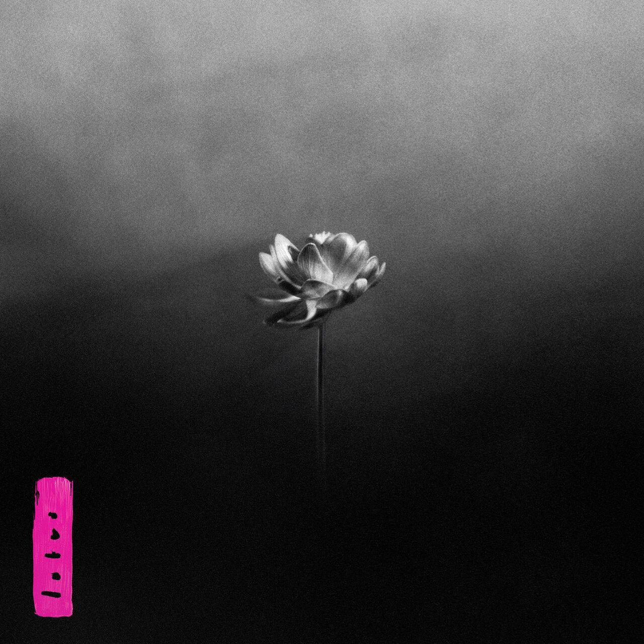 Lotus - Little Simz feat. Yukimi