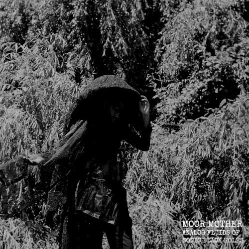 Analog Fluids of Sonic Black Holes - Moor Mother