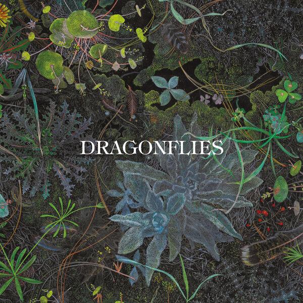 Dragonflies - The Dragonflies