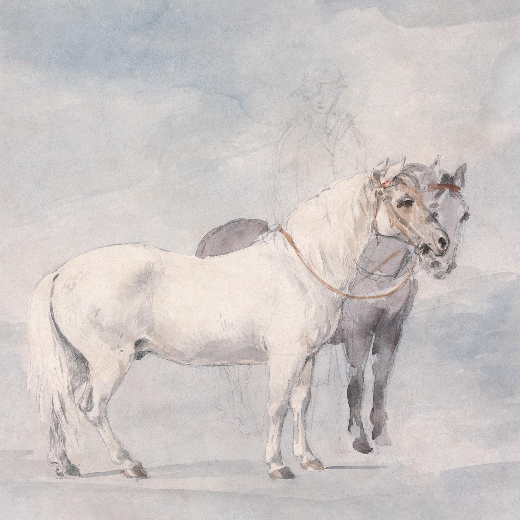 Every Dumb Thing I Ever Did - Horses