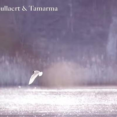 Winnow - Sebastian Mullaert & Tamarama