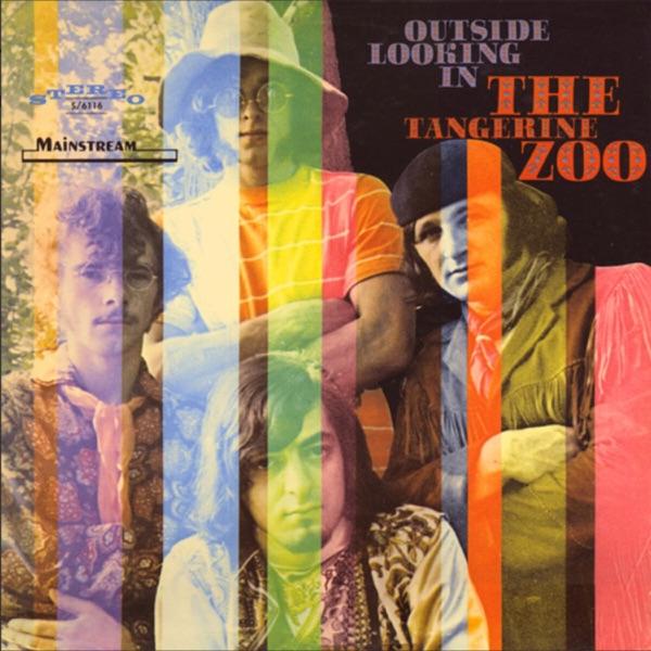 Outside Looking In - The Tangerine Zoo